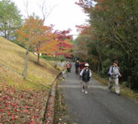 遊学の森 広島市森林公園