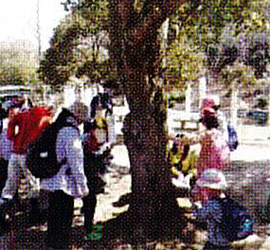 広島県緑化センター